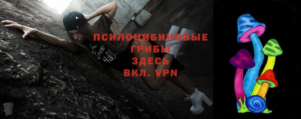 герыч Алексин