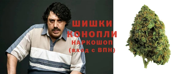 дмт Алзамай