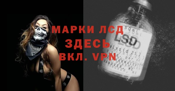 дмт Алзамай