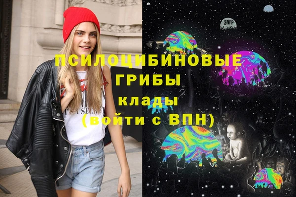 дмт Алзамай