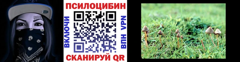 Псилоцибиновые грибы Psilocybe  МЕГА рабочий сайт  Кочубеевское  купить наркоту 
